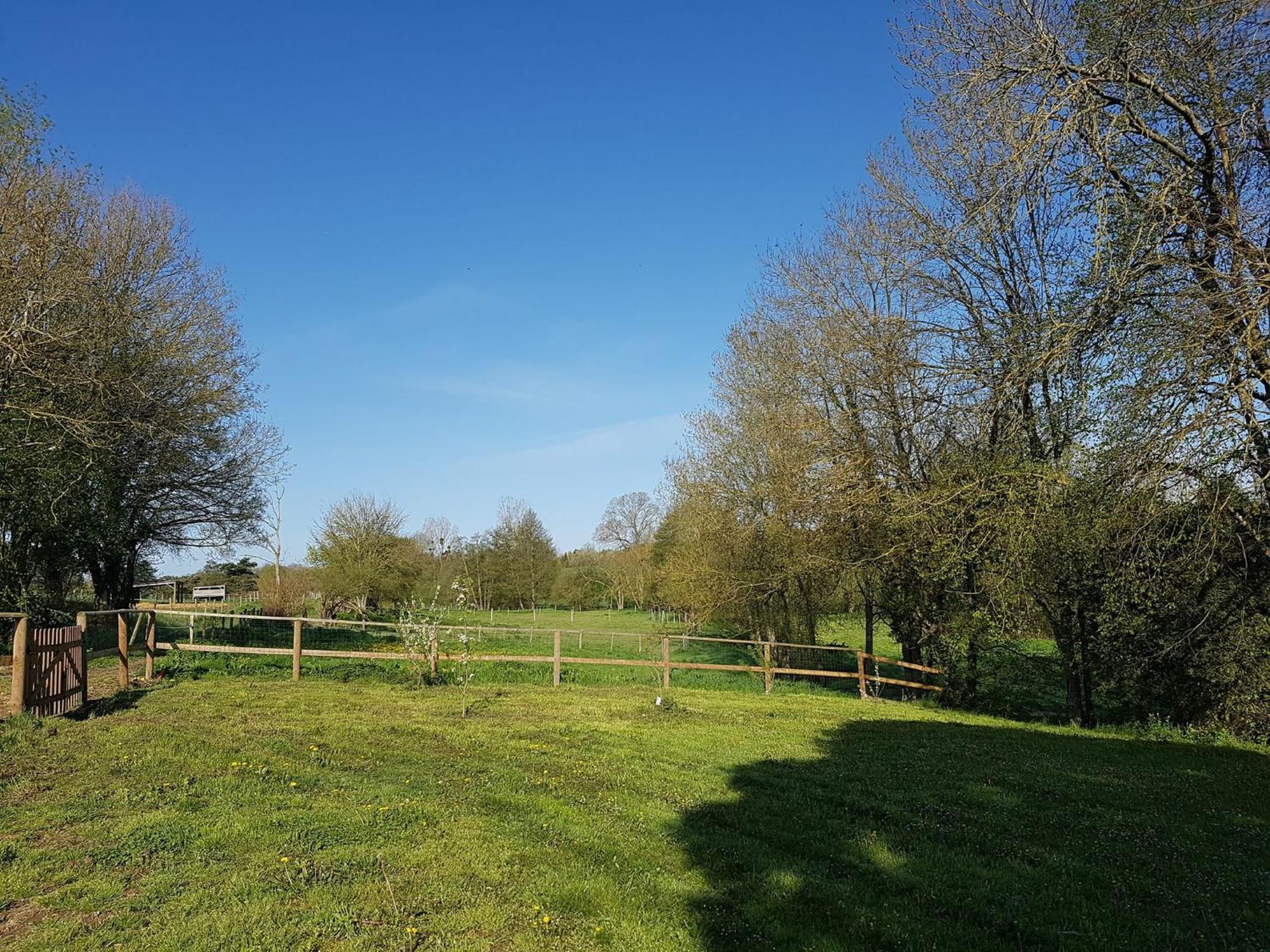Domaine Du Moulin Neuf Aux Portes De Beauval Nouans-les-Fontaines Bagian luar foto