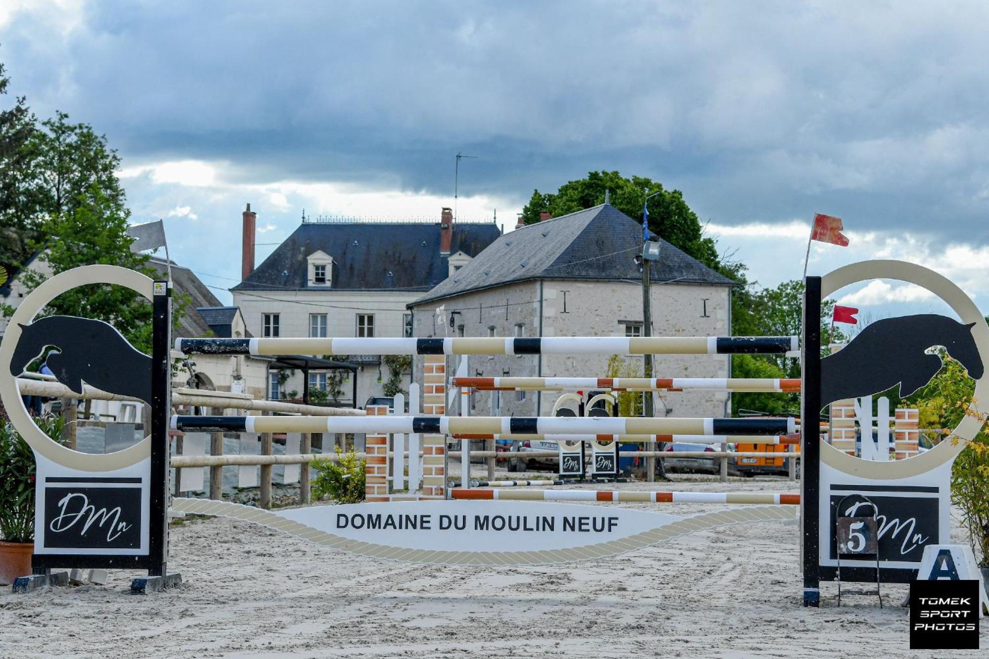 Domaine Du Moulin Neuf Aux Portes De Beauval Nouans-les-Fontaines Bagian luar foto